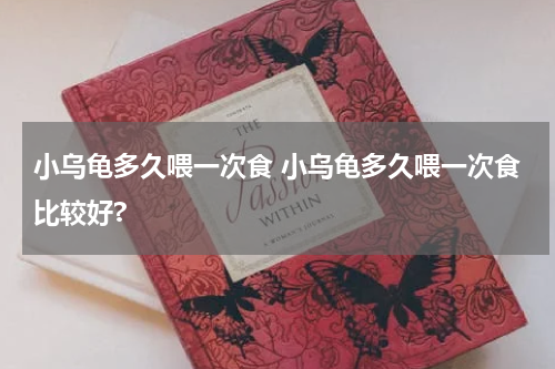 小乌龟多久喂一次食 小乌龟多久喂一次食比较好?