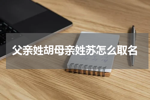 父亲姓胡母亲姓苏怎么取名