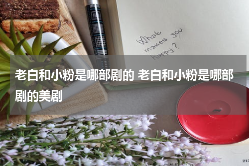 老白和小粉是哪部剧的 老白和小粉是哪部剧的美剧