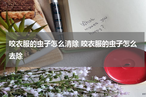 咬衣服的虫子怎么清除 咬衣服的虫子怎么去除