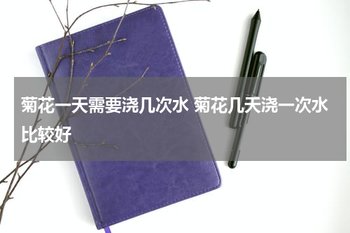 菊花一天需要浇几次水 菊花几天浇一次水比较好