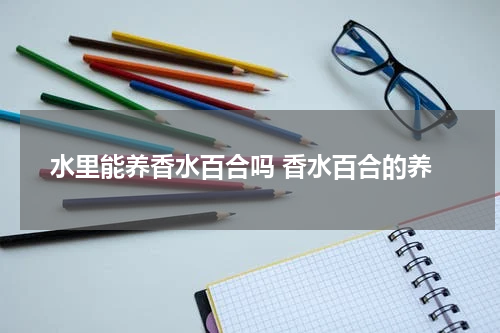 水里能养香水百合吗 香水百合的养