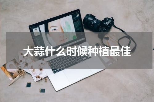 大蒜什么时候种植最佳