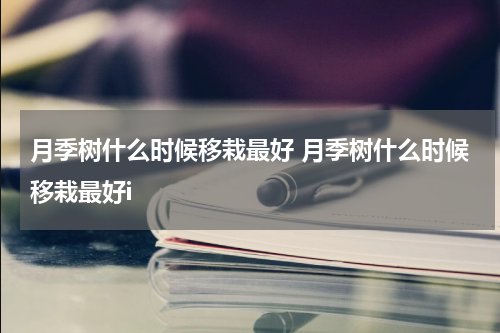 月季树什么时候移栽最好 月季树什么时候移栽最好i