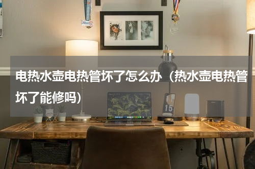电热水壶电热管坏了怎么办（热水壶电热管坏了能修吗）