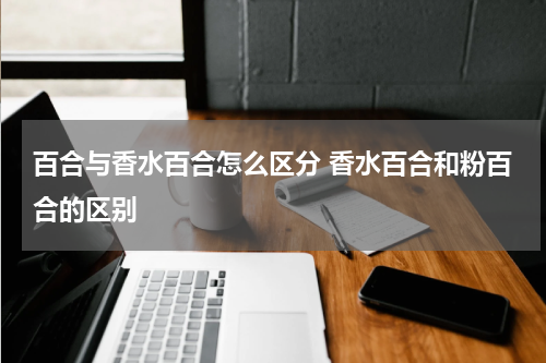 百合与香水百合怎么区分 香水百合和粉百合的区别