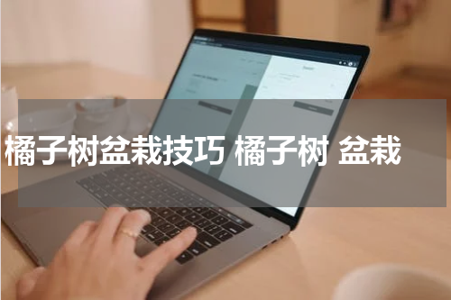 橘子树盆栽技巧 橘子树 盆栽