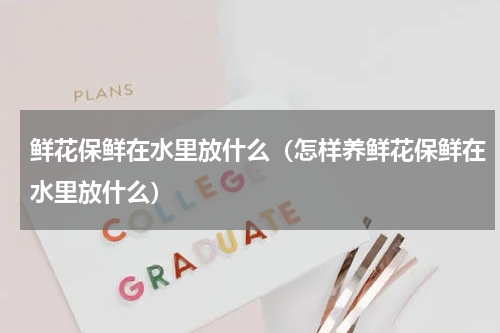 鲜花保鲜在水里放什么（怎样养鲜花保鲜在水里放什么）