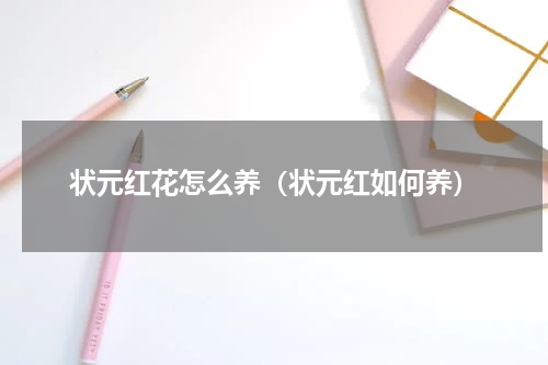 状元红花怎么养（状元红如何养）