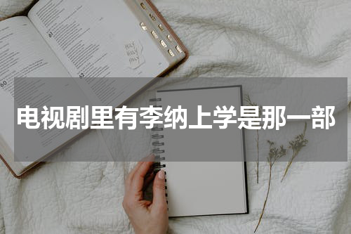 电视剧里有李纳上学是那一部