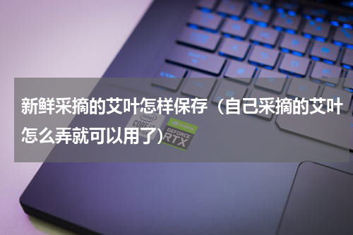 新鲜采摘的艾叶怎样保存（自己采摘的艾叶怎么弄就可以用了）