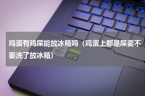 鸡蛋有鸡屎能放冰箱吗（鸡蛋上都是屎要不要洗了放冰箱）