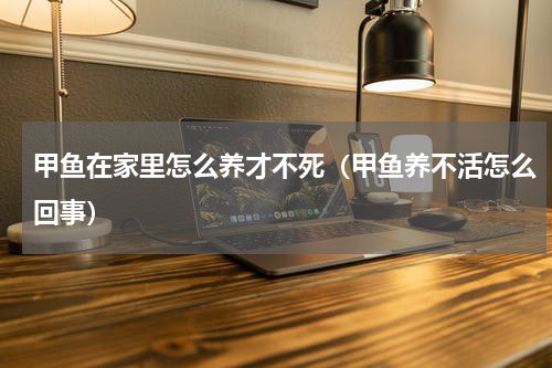 甲鱼在家里怎么养才不死（甲鱼养不活怎么回事）