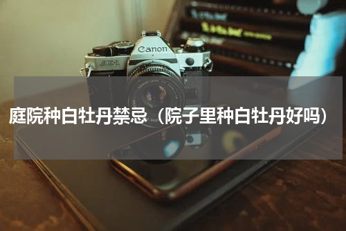 庭院种白牡丹禁忌（院子里种白牡丹好吗）