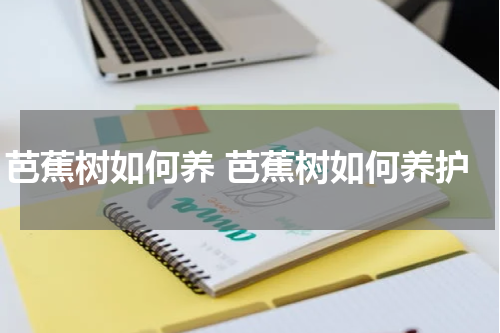 芭蕉树如何养 芭蕉树如何养护