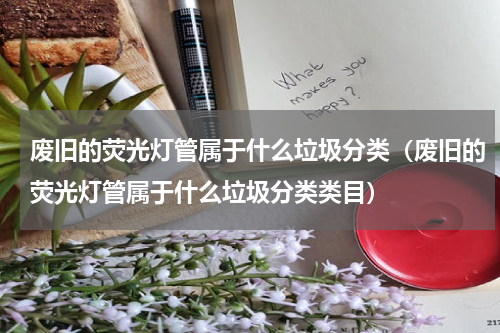 废旧的荧光灯管属于什么垃圾分类（废旧的荧光灯管属于什么垃圾分类类目）