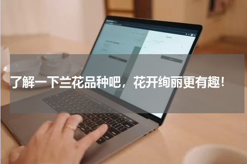  了解一下兰花品种吧，花开绚丽更有趣！