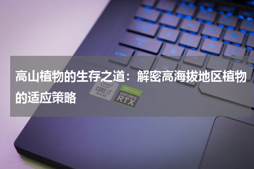 高山植物的生存之道：解密高海拔地区植物的适应策略