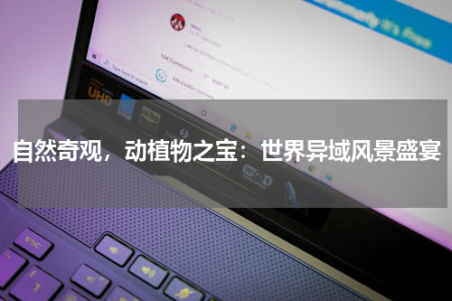 自然奇观，动植物之宝：世界异域风景盛宴