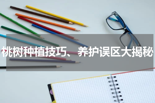 桃树种植技巧、养护误区大揭秘