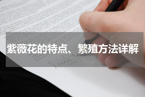 紫薇花的特点、繁殖方法详解