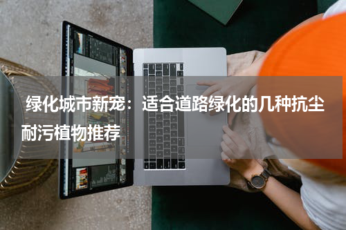  绿化城市新宠：适合道路绿化的几种抗尘耐污植物推荐