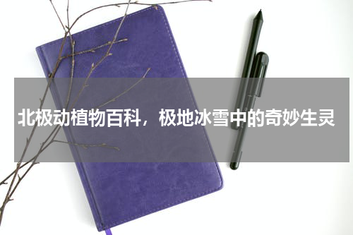 北极动植物百科，极地冰雪中的奇妙生灵