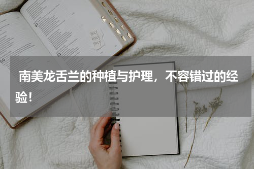  南美龙舌兰的种植与护理，不容错过的经验！