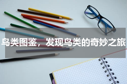鸟类图鉴，发现鸟类的奇妙之旅