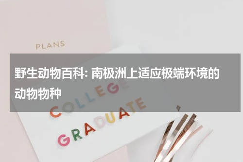 野生动物百科: 南极洲上适应极端环境的动物物种