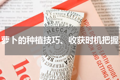 萝卜的种植技巧、收获时机把握