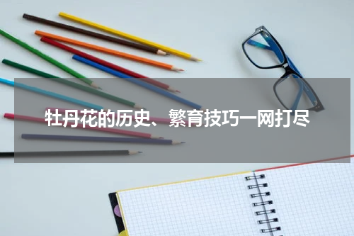 牡丹花的历史、繁育技巧一网打尽