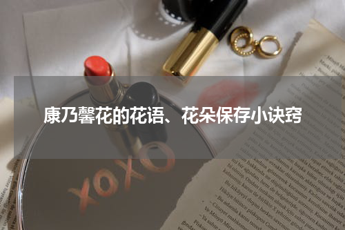 康乃馨花的花语、花朵保存小诀窍