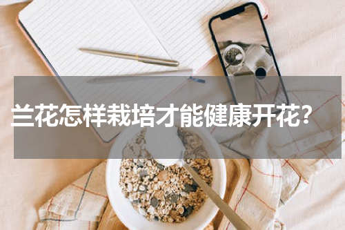  兰花怎样栽培才能健康开花？