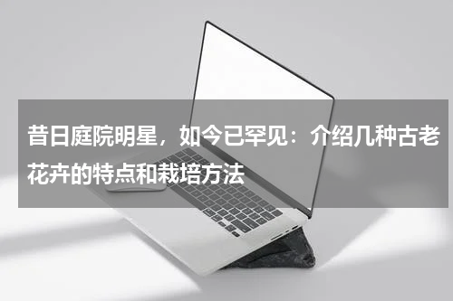 昔日庭院明星，如今已罕见：介绍几种古老花卉的特点和栽培方法