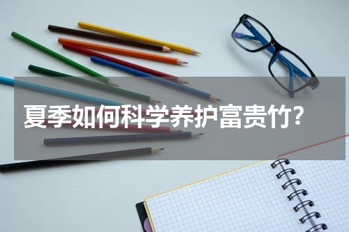  夏季如何科学养护富贵竹？