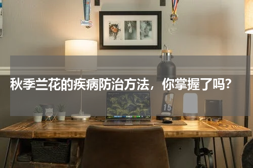  秋季兰花的疾病防治方法，你掌握了吗？