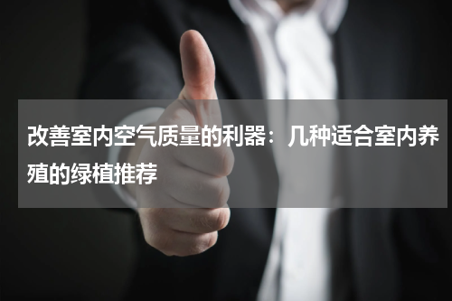 改善室内空气质量的利器：几种适合室内养殖的绿植推荐