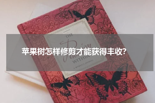  苹果树怎样修剪才能获得丰收？