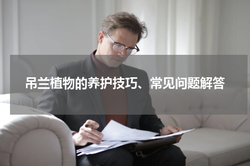 吊兰植物的养护技巧、常见问题解答