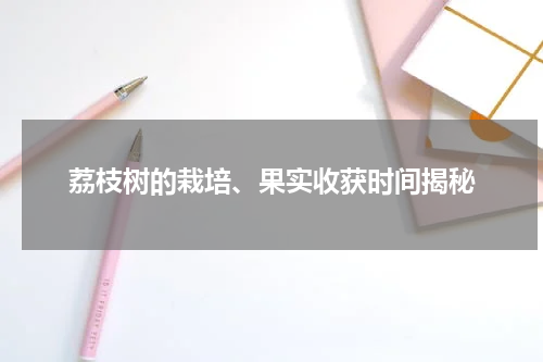 荔枝树的栽培、果实收获时间揭秘
