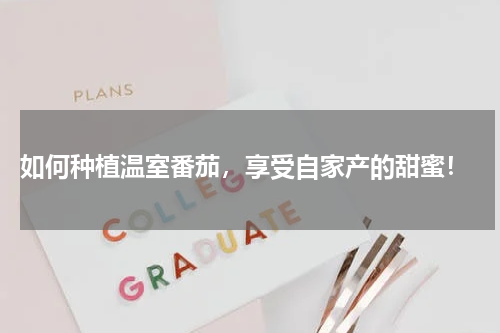  如何种植温室番茄，享受自家产的甜蜜！