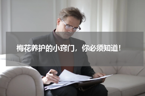  梅花养护的小窍门，你必须知道！