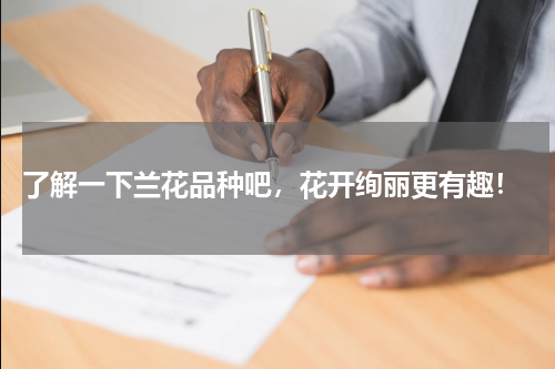  了解一下兰花品种吧，花开绚丽更有趣！