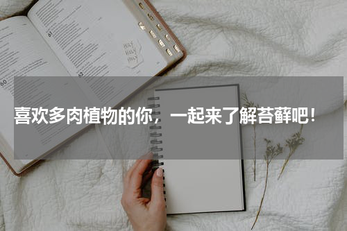  喜欢多肉植物的你，一起来了解苔藓吧！