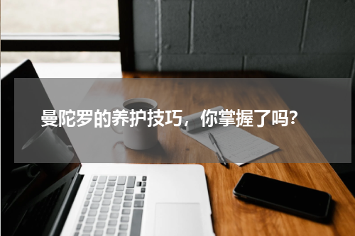  曼陀罗的养护技巧，你掌握了吗？