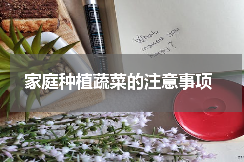  家庭种植蔬菜的注意事项