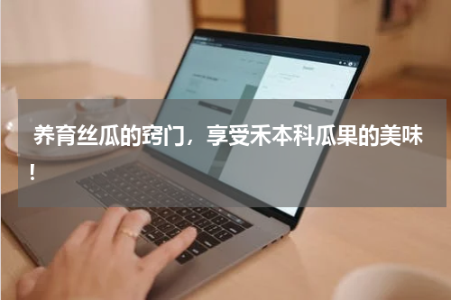  养育丝瓜的窍门，享受禾本科瓜果的美味！