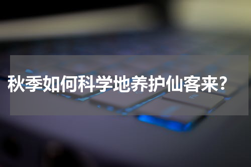  秋季如何科学地养护仙客来？