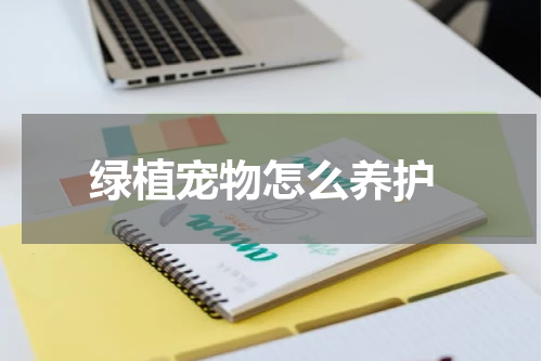  绿植宠物怎么养护